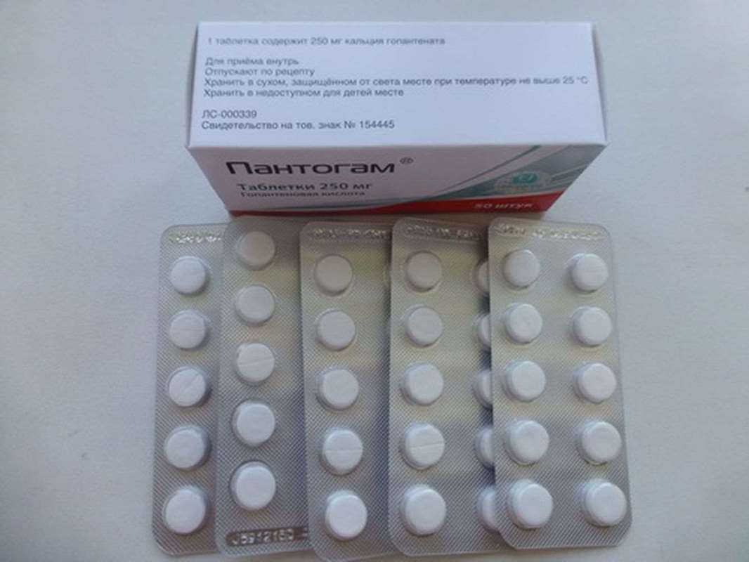 Pantogam 250mg 50 pills buy nootropic drug online